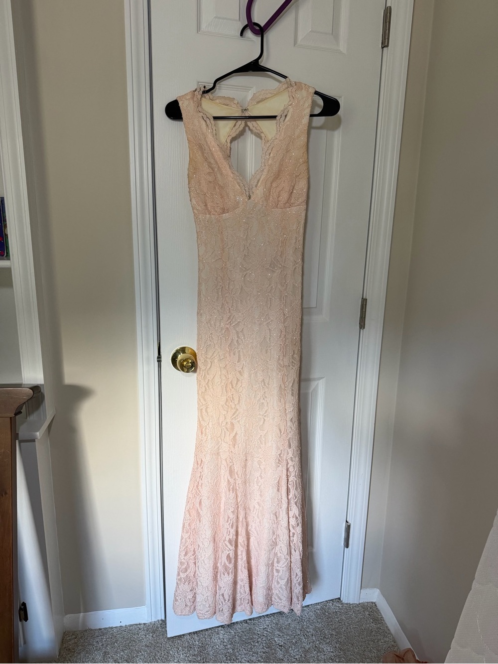 Morgan & Co. Blush Lace Maxi Dress